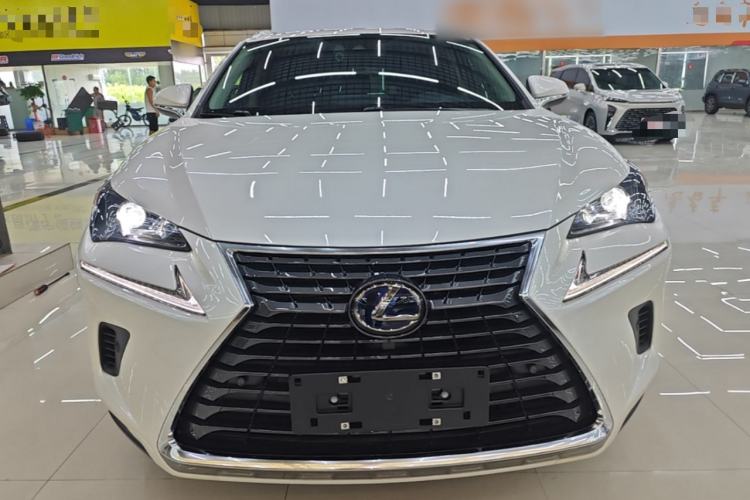 Lexus NX 300h 2020 — фото 2