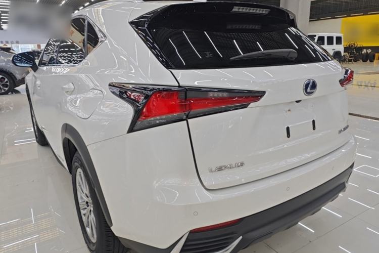 Lexus NX 300h 2020 — фото 4