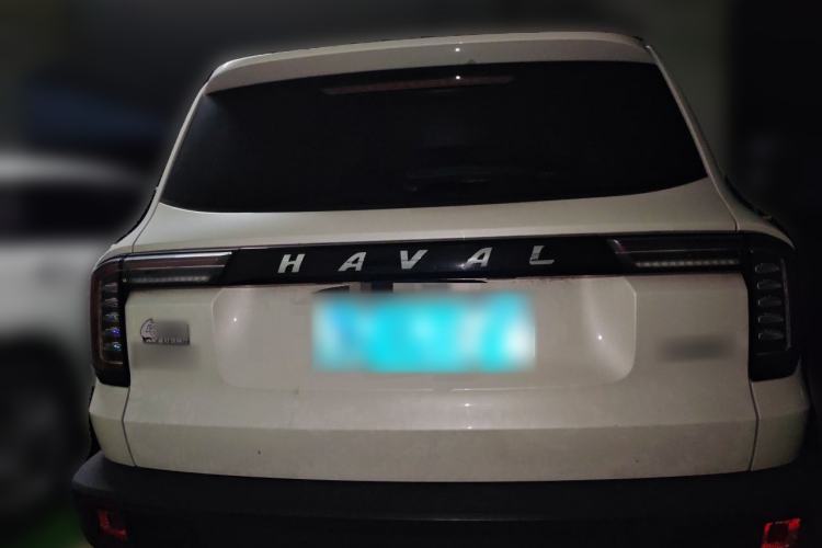 Haval Dargo 2021 — 5