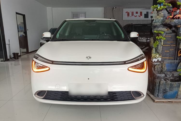 DongFeng NAMMI 01 2024 — 2
