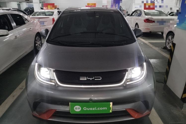 BYD Dolphin 2021 — 2