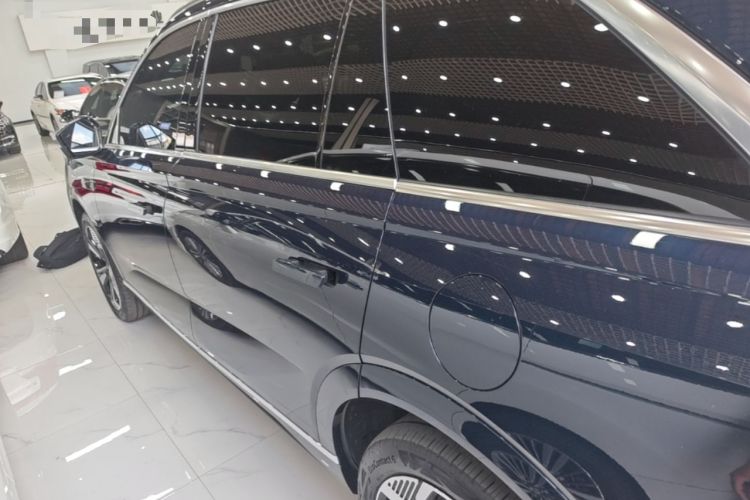 WEY Lanshan 2025 — 4