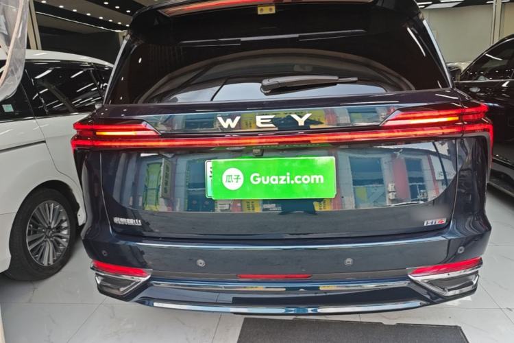 WEY Lanshan 2025 — 5
