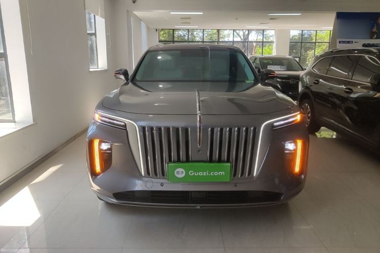 Hongqi E-HS9 2021 — 2