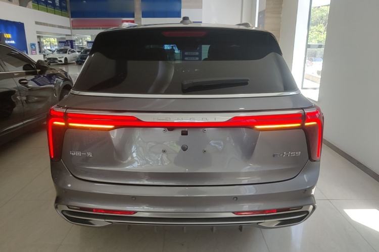 Hongqi E-HS9 2021 — 5