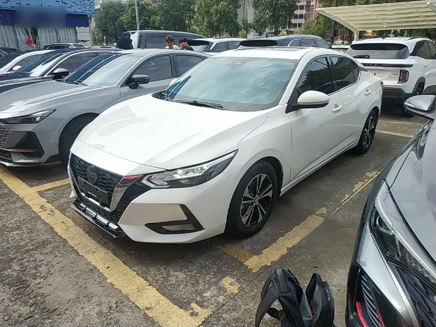 Nissan sylphy 2021 — фото 1