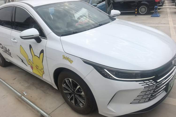 BYD Destroyer 05 2024 — 3