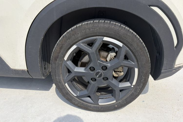 BYD Dolphin Mini 2025 — 5