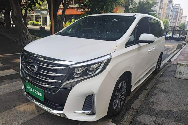 GAC Trumpchi trumpchi m8 2020 — фото 1