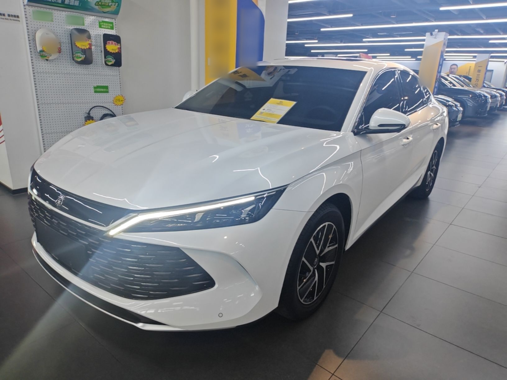 BYD Qin L 2024 — фото 1