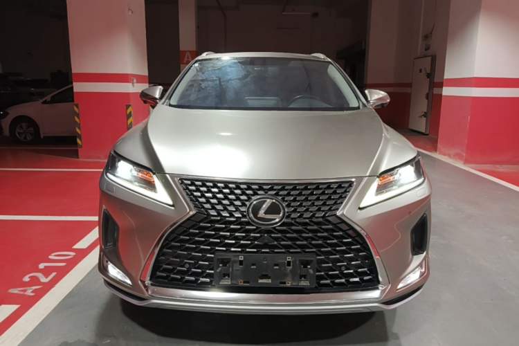 Lexus RX 300 2020 — 2
