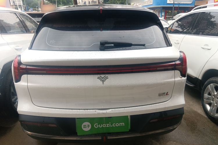 Neta L 2024 — 5