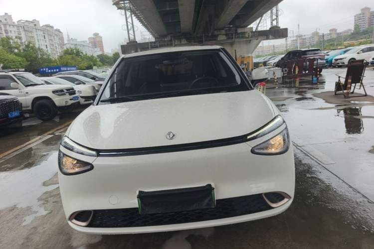 DongFeng NAMMI 01 2025 — 2