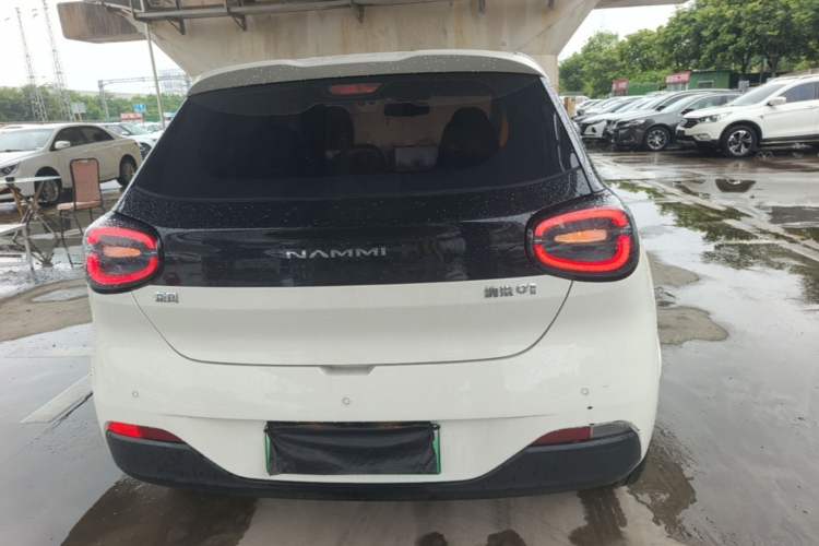 DongFeng NAMMI 01 2025 — 5