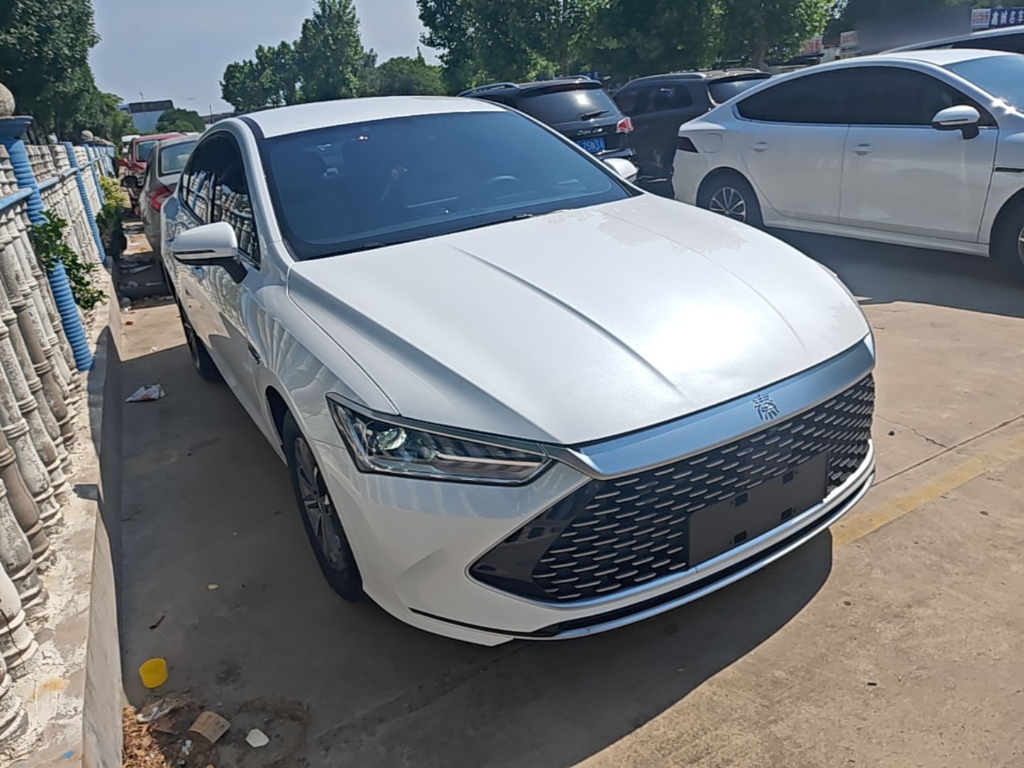 BYD qin plus 2024 — фото 3