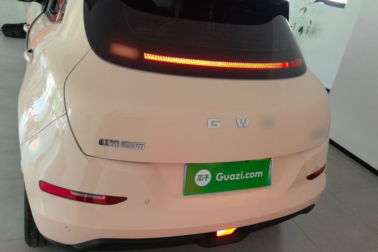 Ora Good Cat 2025 — 5