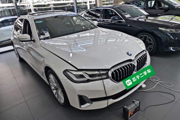 BMW 530Li 2021 — фото 3
