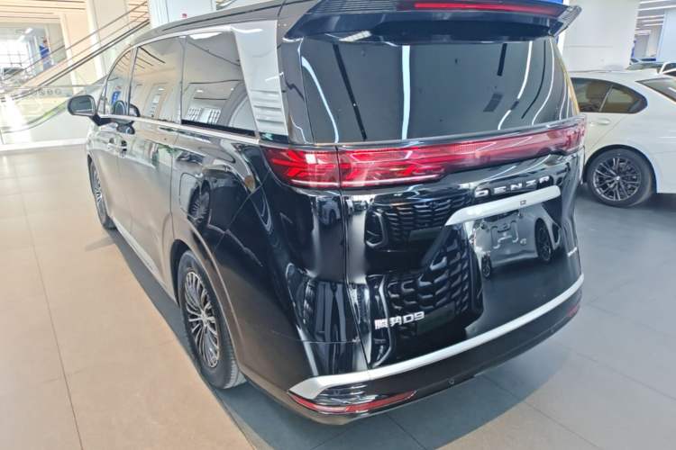 Denza D9 2024 — 4