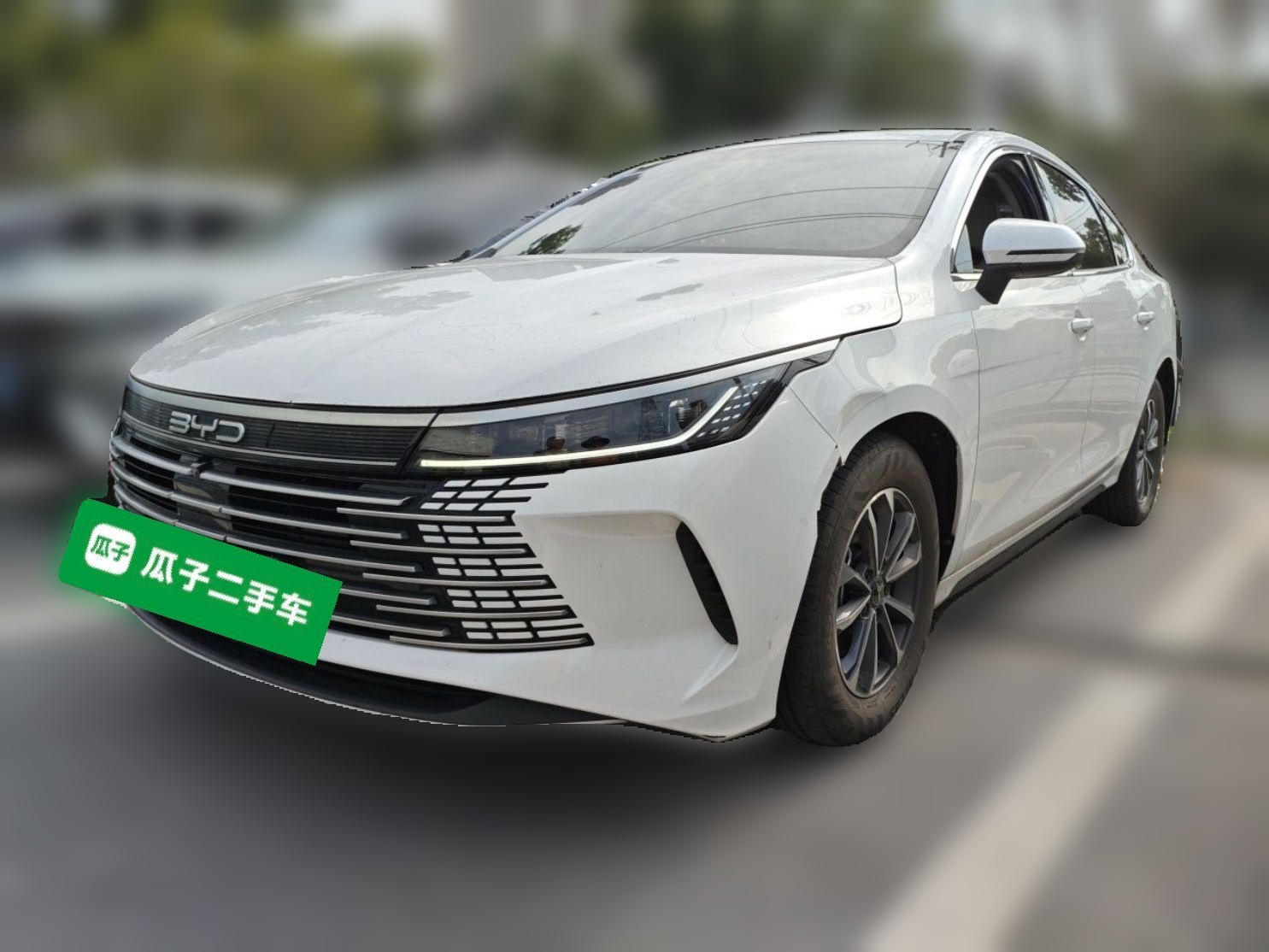 BYD Destroyer 05 2024 — фото 1