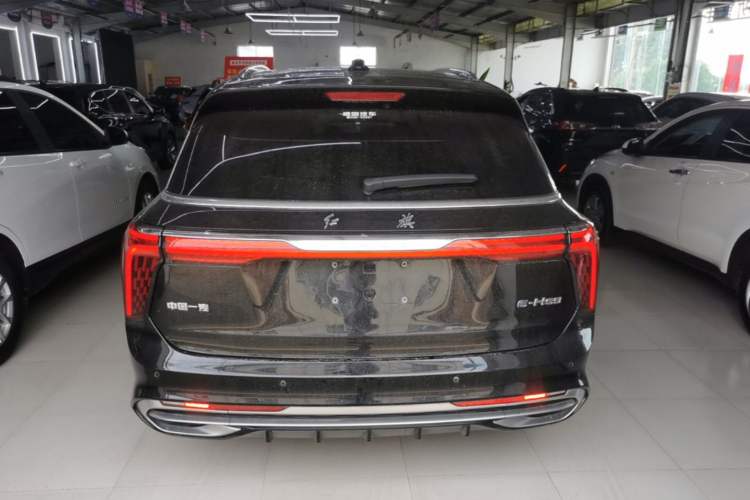 Hongqi E-HS9 2022 — 5