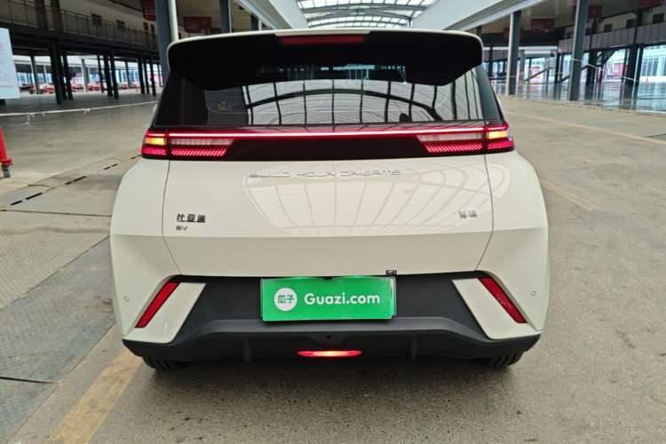 BYD Seagull 2024 — 5