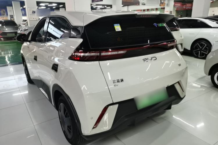 BYD Seagull 2024 — 4