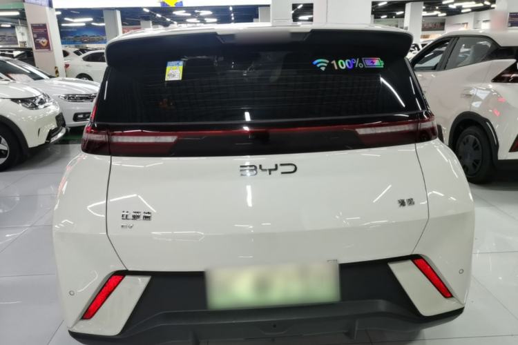 BYD Seagull 2024 — 5