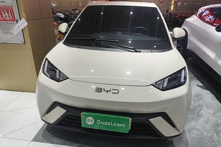 BYD Dolphin Mini 2025 — 2