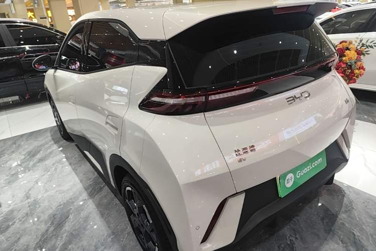 BYD Dolphin Mini 2025 — 4