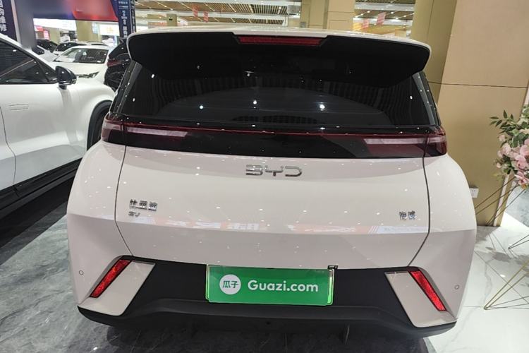 BYD Dolphin Mini 2025 — 5