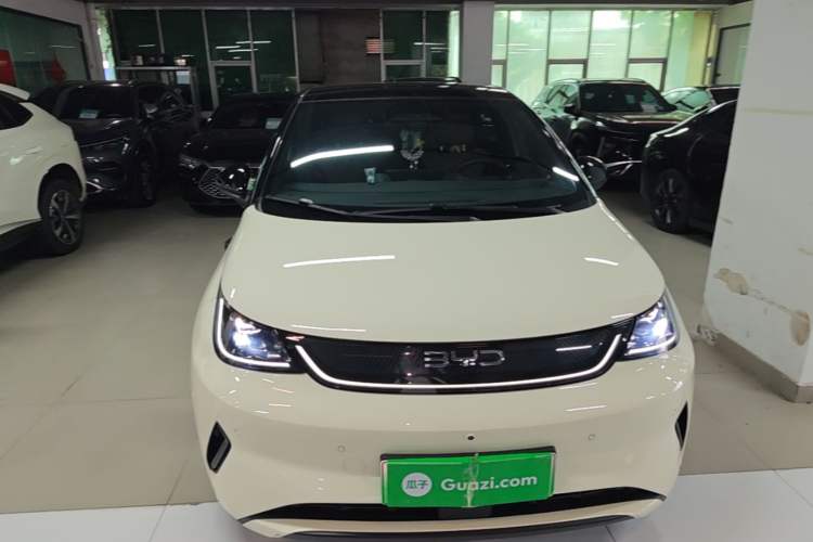 BYD Dolphin 2025 — 2
