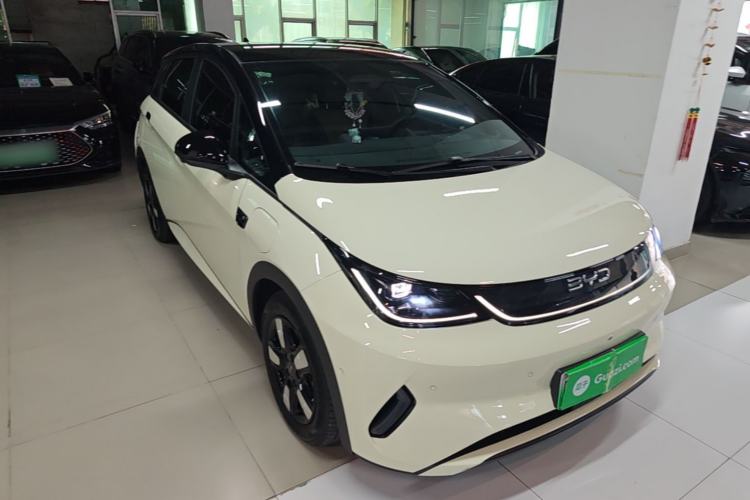 BYD Dolphin 2025 — 3