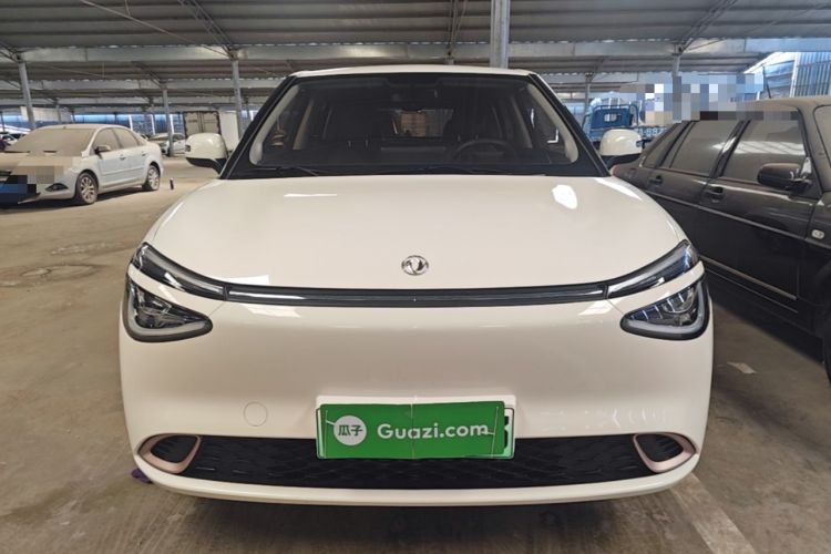 DongFeng NAMMI 01 2024 — 2