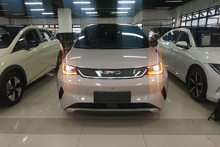 BYD Dolphin 2025 — 2