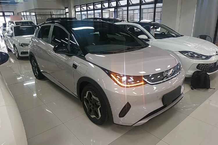 BYD Dolphin 2025 — 3