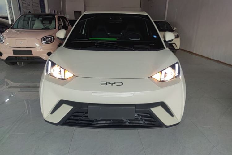BYD Seagull 2025 — 2