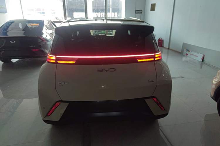 BYD Seagull 2025 — 5