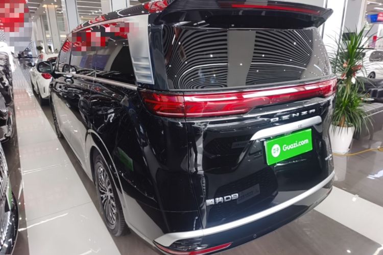 Denza D9 2025 — 4