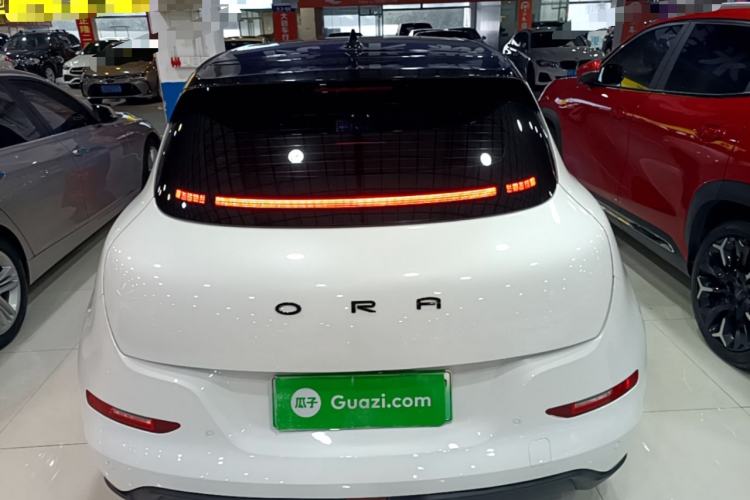 Ora Good Cat 2022 — 5