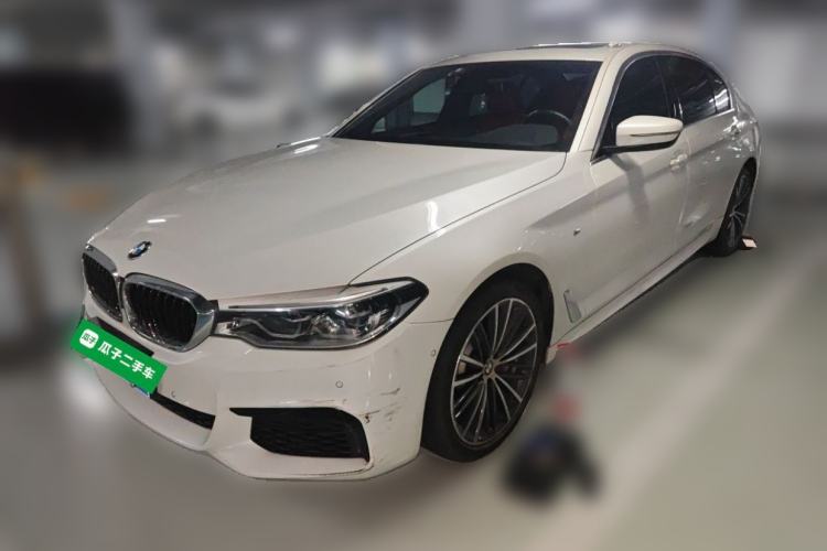 BMW 530Li 2020 — фото 1