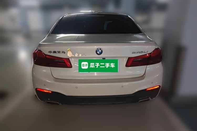 BMW 530Li 2020 — фото 3