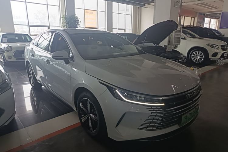 BYD Destroyer 05 2022 — 3