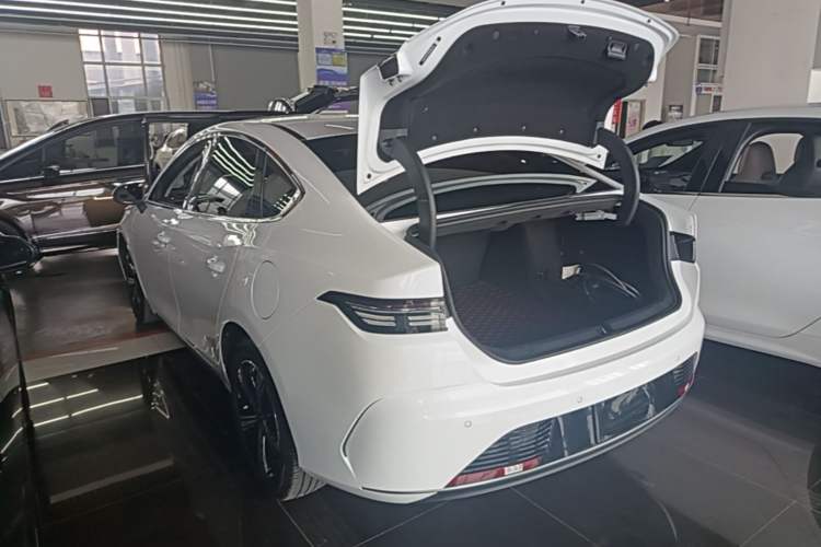 BYD Destroyer 05 2022 — 4