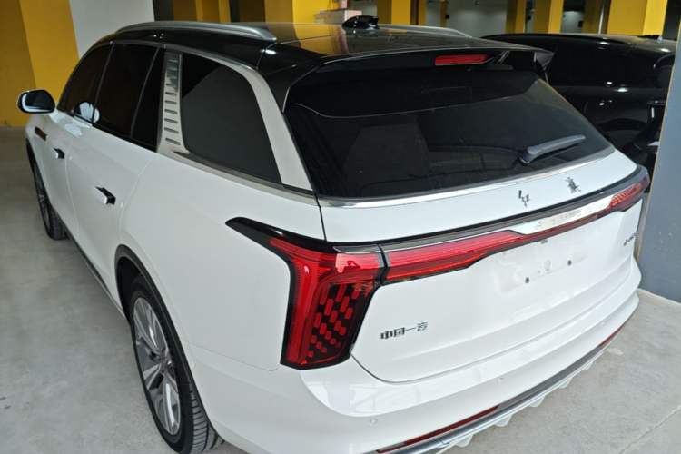 Hongqi E-HS9 2022 — 4