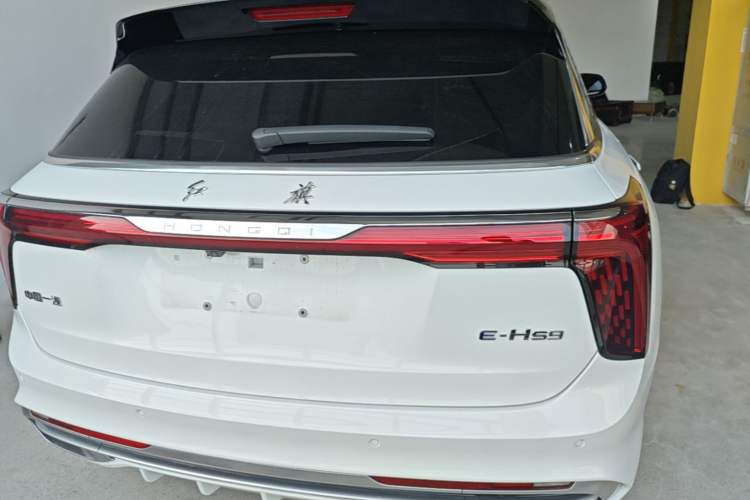 Hongqi E-HS9 2022 — 5