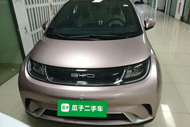 BYD Dolphin 2021 — 2