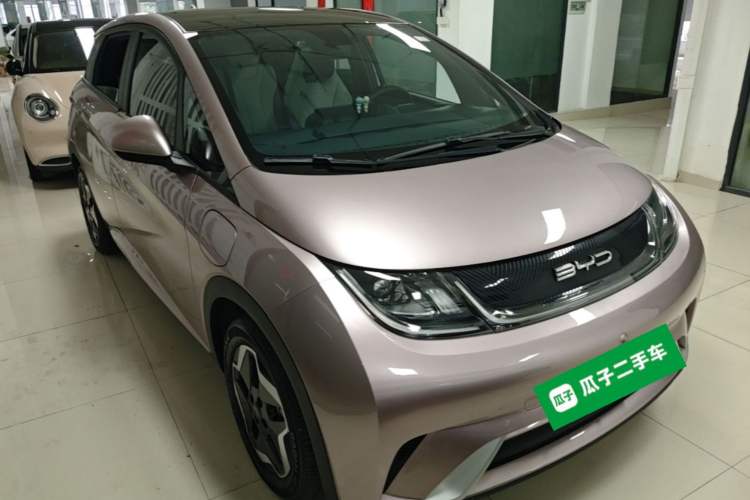 BYD Dolphin 2021 — 3