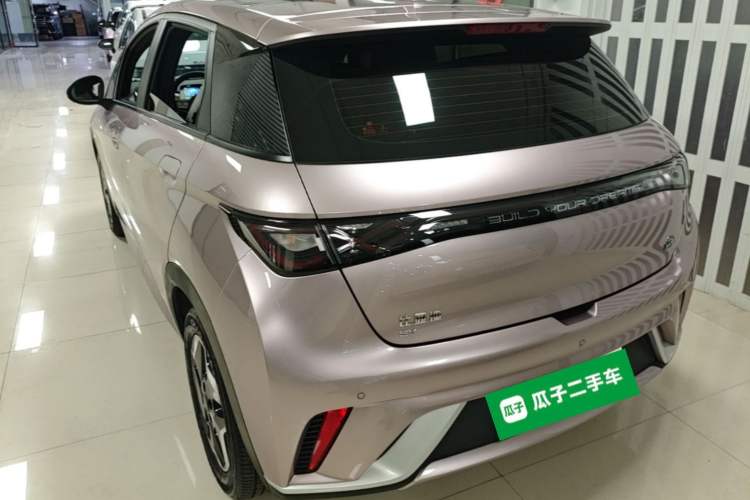 BYD Dolphin 2021 — 4