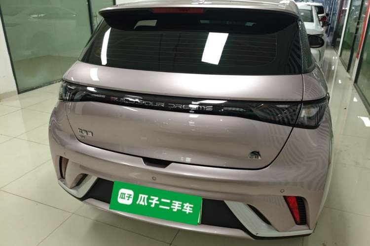 BYD Dolphin 2021 — 5