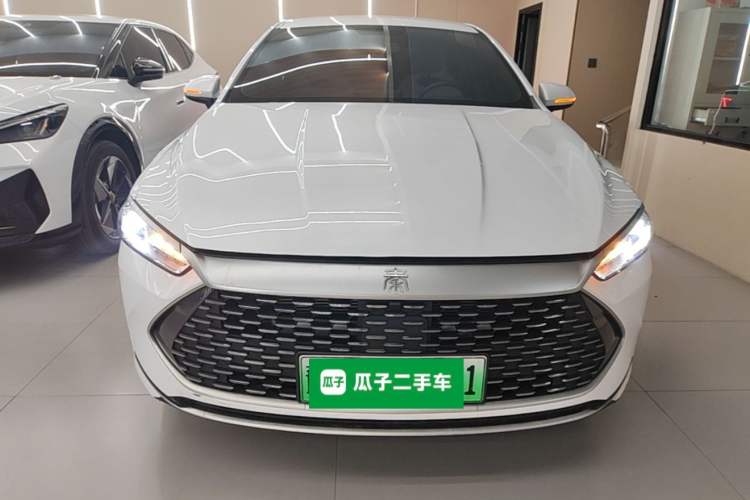 BYD Qin PLUS 2024 — фото 2